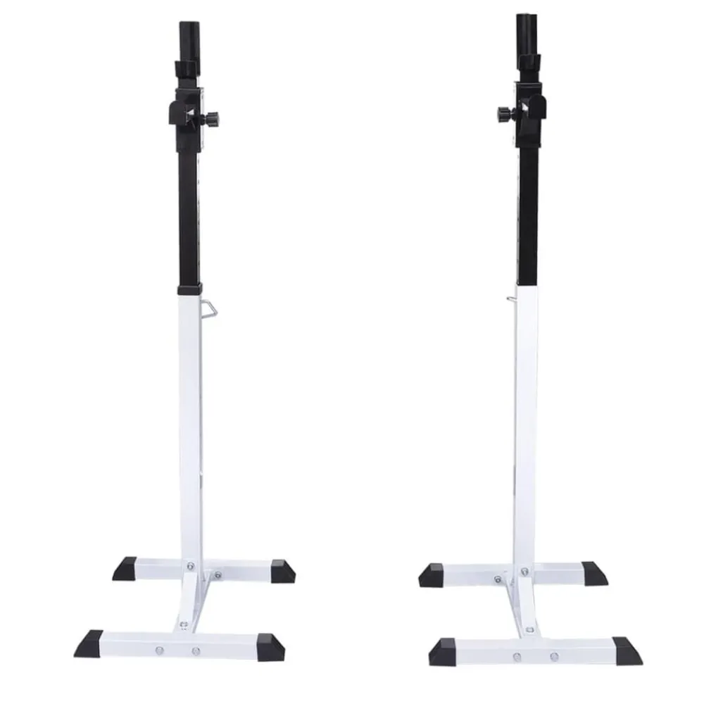 vidaXL Conjunto de barra de pesas Online