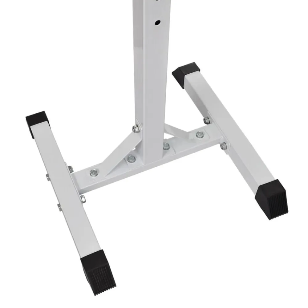 vidaXL Conjunto de barra de pesas Online