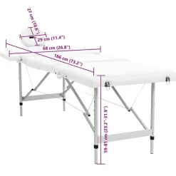 vidaXL Salud Y Belleza-Mesa camilla de masaje de aluminio plegable de 4 cuerpos