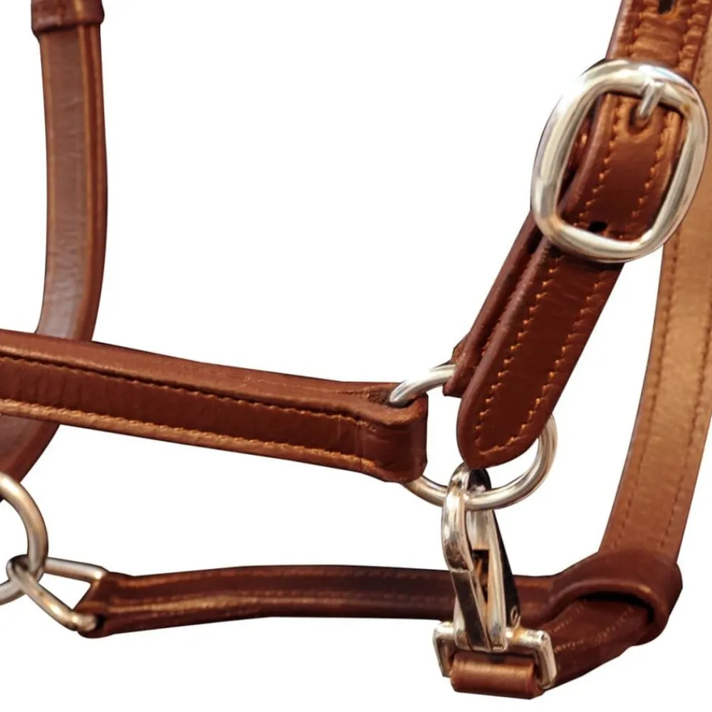 vidaXL Actividades Al Aire Libre-Ronzal/Cabestro de Cuero Marrón Ajustable Para Poni