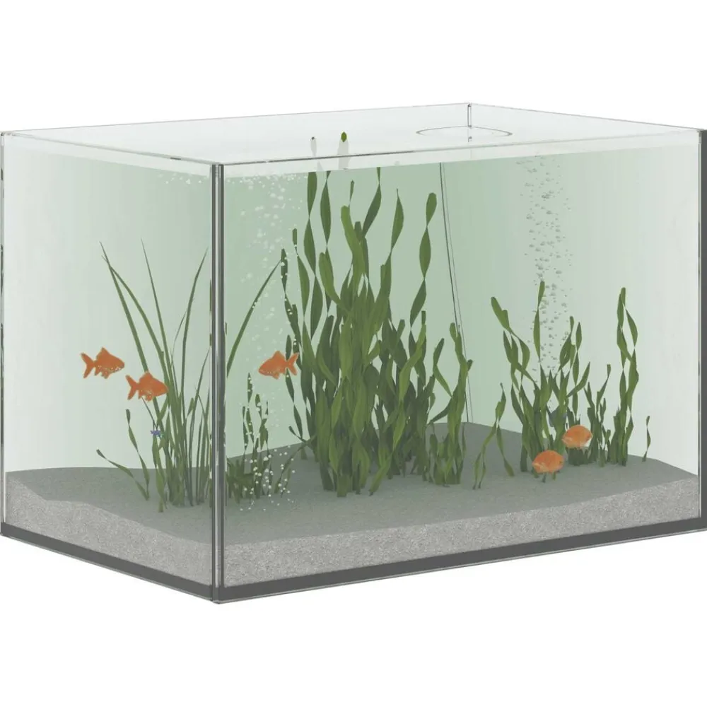 vidaXL Acuario con almacenamiento Transparente 30 x 20 x 20 cm Cristal Sale