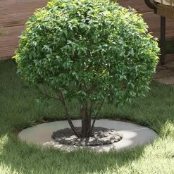 vidaXL adecuado para Anillo de Árbol Plano Plateado Ø30 / 60 cm Galvanizado Discount