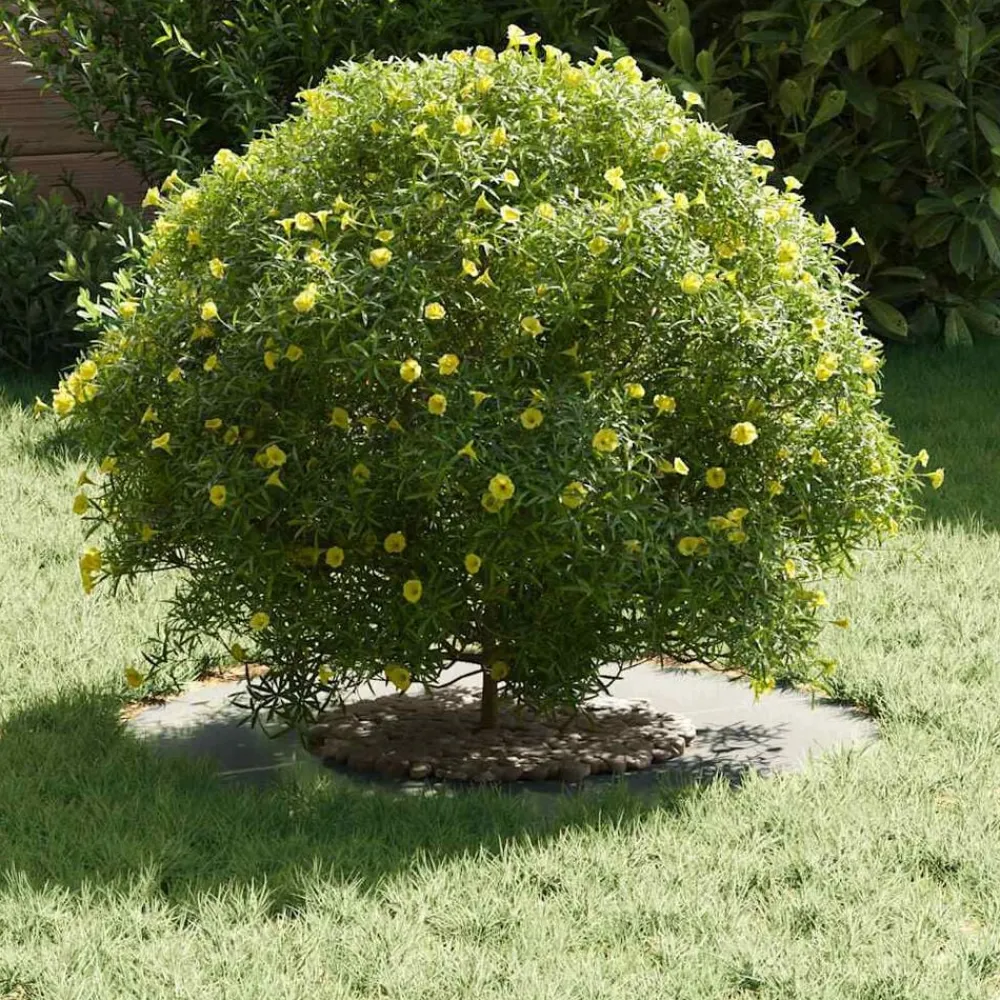 vidaXL adecuado para Anillo de Árbol Plano Plateado Ø30 / 60 cm Galvanizado Discount