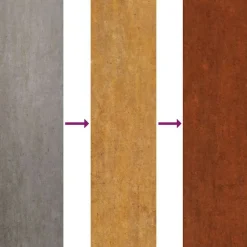 vidaXL Decoración-Adorno de pared de jardín acero corten cabeza de Buda 55x55 cm