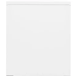 vidaXL Armarios Y Almacenamiento-Armario archivador de acero 46x62x72,5 cm