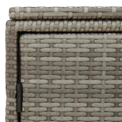 vidaXL Muebles De Jardín-Armario de almacenaje de jardín ratán PE 110x55x60,5 cm