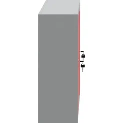 vidaXL Armario de herramientas con estante y Gris 50 x 20 x 55 cm Rojo
