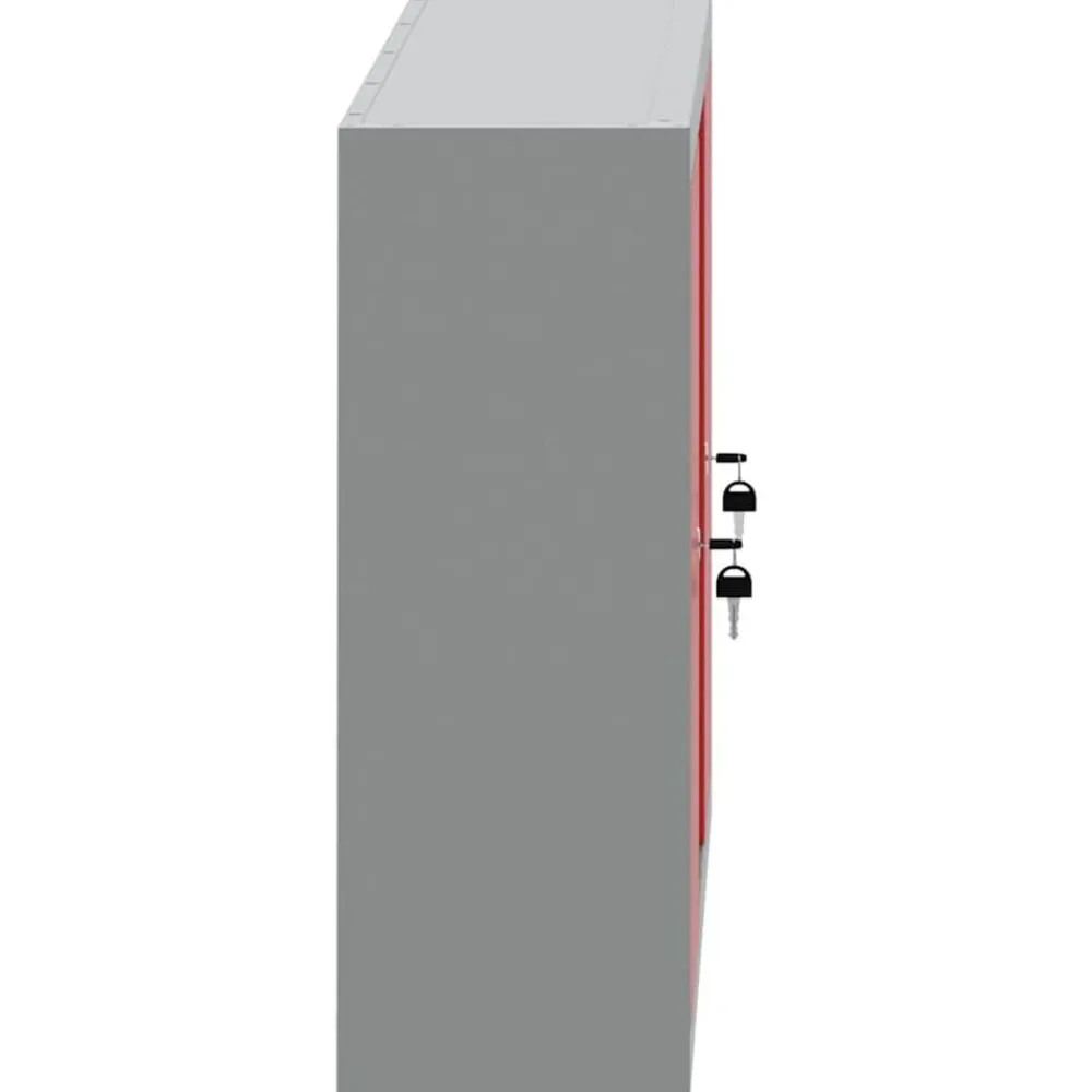 vidaXL Armario de herramientas con estante y Gris 50 x 20 x 55 cm Rojo