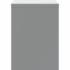 vidaXL Armario de herramientas y Gris 50 x 25 x 35 cm Rojo