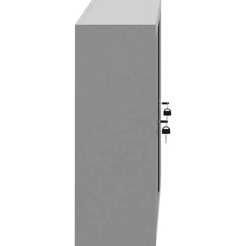 vidaXL Armario de herramientas y Gris 50 x 20 x 55 cm Negro Discount
