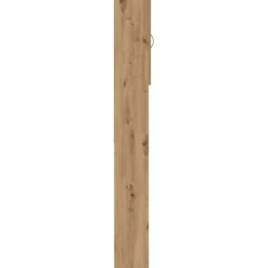 vidaXL Accesorios Para Electrodomésticos-Armario de lavadora 64x25,5x190 cm
