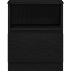 vidaXL Armario de Noche con cajón 40 x 40 x 50 cm Roble negro Hot