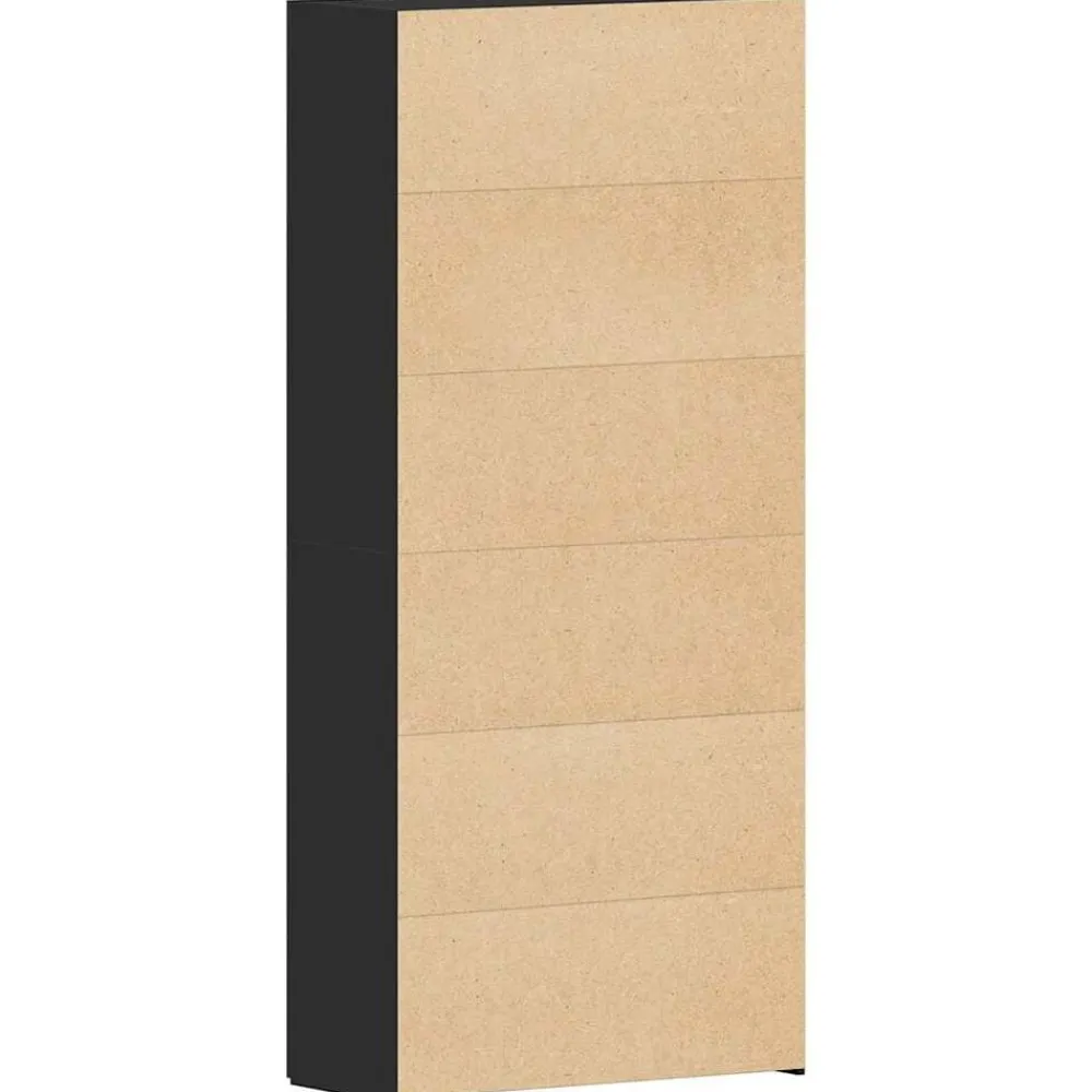 vidaXL Armario para Zapatos con estante 80 x 35.5 x 180 cm Negro Hot