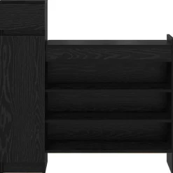 vidaXL Productos Del Hogar-Armario Zapatero con cajón 100,5 x 28 x 100 cm