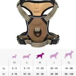 vidaXL Productos Para Mascotas-Arnés para perros con correa y collar ajustable marrón M