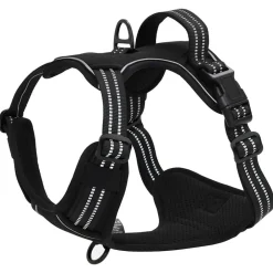 vidaXL Productos Para Mascotas-Arnés para perros con correa y collar ajustable S