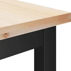 vidaXL Bancos-Banca de Comedor 100 x 32,5 x 49 cm