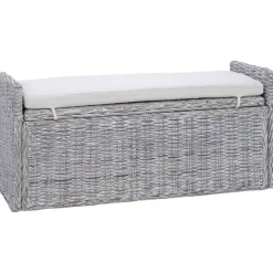 vidaXL Banco de almacenamiento con cojín 110 x 40 x 50 cm Ratán lavado Best