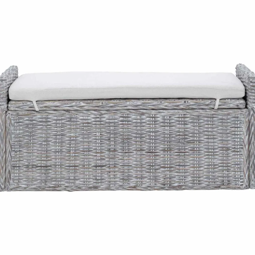 vidaXL Banco de almacenamiento con cojín 110 x 40 x 50 cm Ratán lavado Best