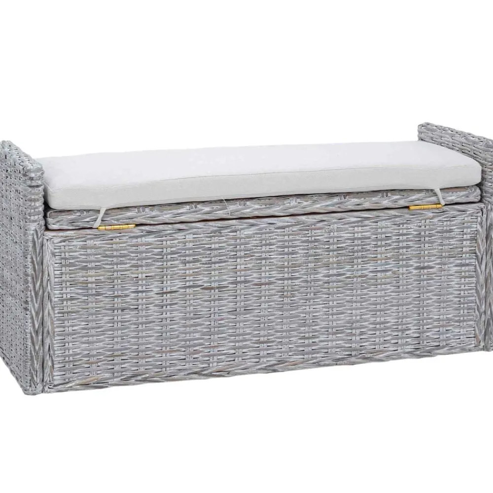 vidaXL Banco de almacenamiento con cojín 110 x 40 x 50 cm Ratán lavado Best