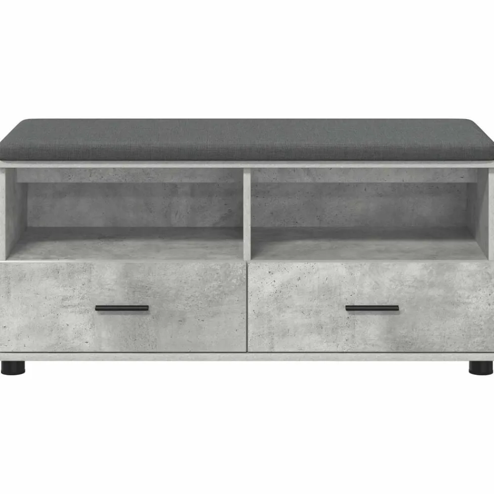 vidaXL Bancos-Banco de entrada con cojín Gris Concreto 100 x 38 x 46 cm
