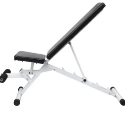 vidaXL Fitness Y Musculación-Banco de entrenamiento con juego de pesas y mancuernas 30,5 kg