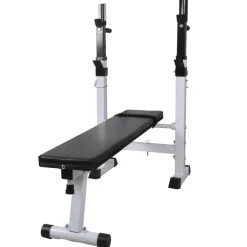 vidaXL Banco de entrenamiento con soporte de pesas y mancuernas 60,5kg