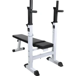 vidaXL Banco de entrenamiento con soporte de pesas y mancuernas 60,5kg