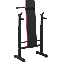 VidaXL Banco de Pesas Manual Negro 126.5 x 67 x 111 cm Sale