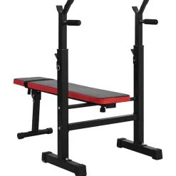 VidaXL Banco de Pesas Manual Negro 126.5 x 67 x 111 cm Sale