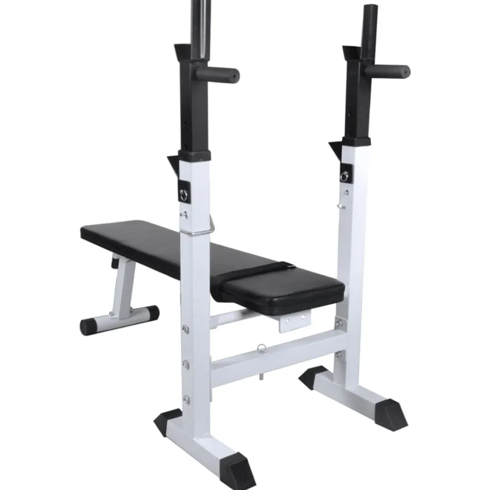 vidaXL Fitness Y Musculación-Banco ejercicios con soporte pesas, pesas y mancuernas 120 kg