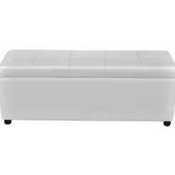 vidaXL Banco largo de almacenamiento de madera Blanco Best