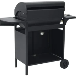 vidaXL Cocina Y Comedor-Barbacoa grill de gas 4+1 quemadores