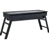 vidaXL Cocina Y Comedor-Barbacoa portátil para camping 60x22,5x33 cm