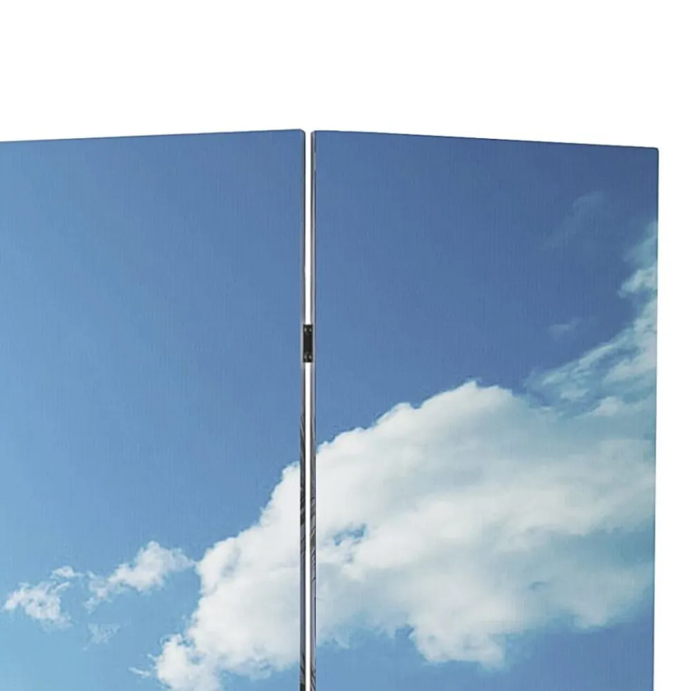 vidaXL Biombo divisor plegable 120x170 cm playa Azul Clearance