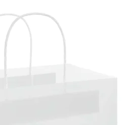 vidaXL Bolsas de papel con asas 50 uds blanca 21x11x28 cm Blanco New