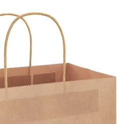 vidaXL Bolsas de papel con asas 50 uds marrón 21x11x36 cm Marrón New