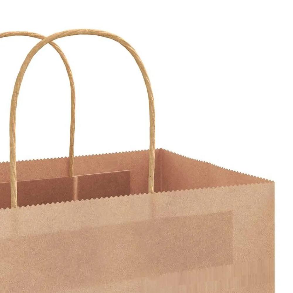 vidaXL Bolsas de papel con asas 50 uds marrón 21x11x36 cm Marrón New