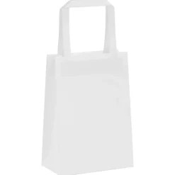 vidaXL Arte Y Ocio-Bolsas de papel con asas 50 uds blanca 15x8x21 cm