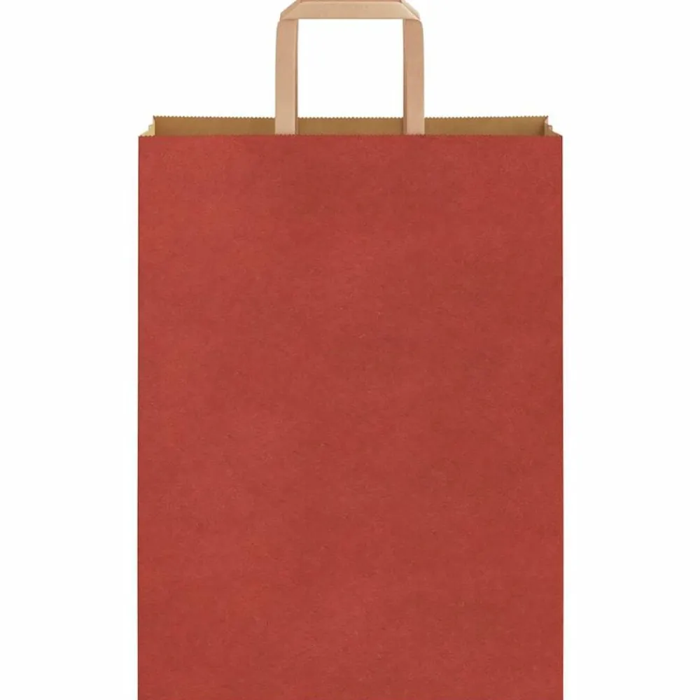 vidaXL Arte Y Ocio-Bolsas de papel con asas 250 uds 26x12x35 cm