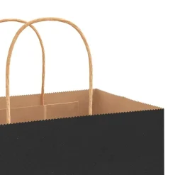 vidaXL Bolsas de papel con asas 250 uds negra 18x8x22 cm Negro Best