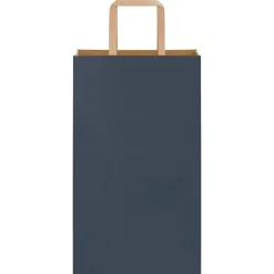 vidaXL Bolsas de papel con asas 50 uds 21x11x36 cm Azul Outlet