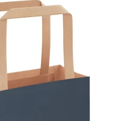 vidaXL Bolsas de papel con asas 50 uds 21x11x36 cm Azul Outlet