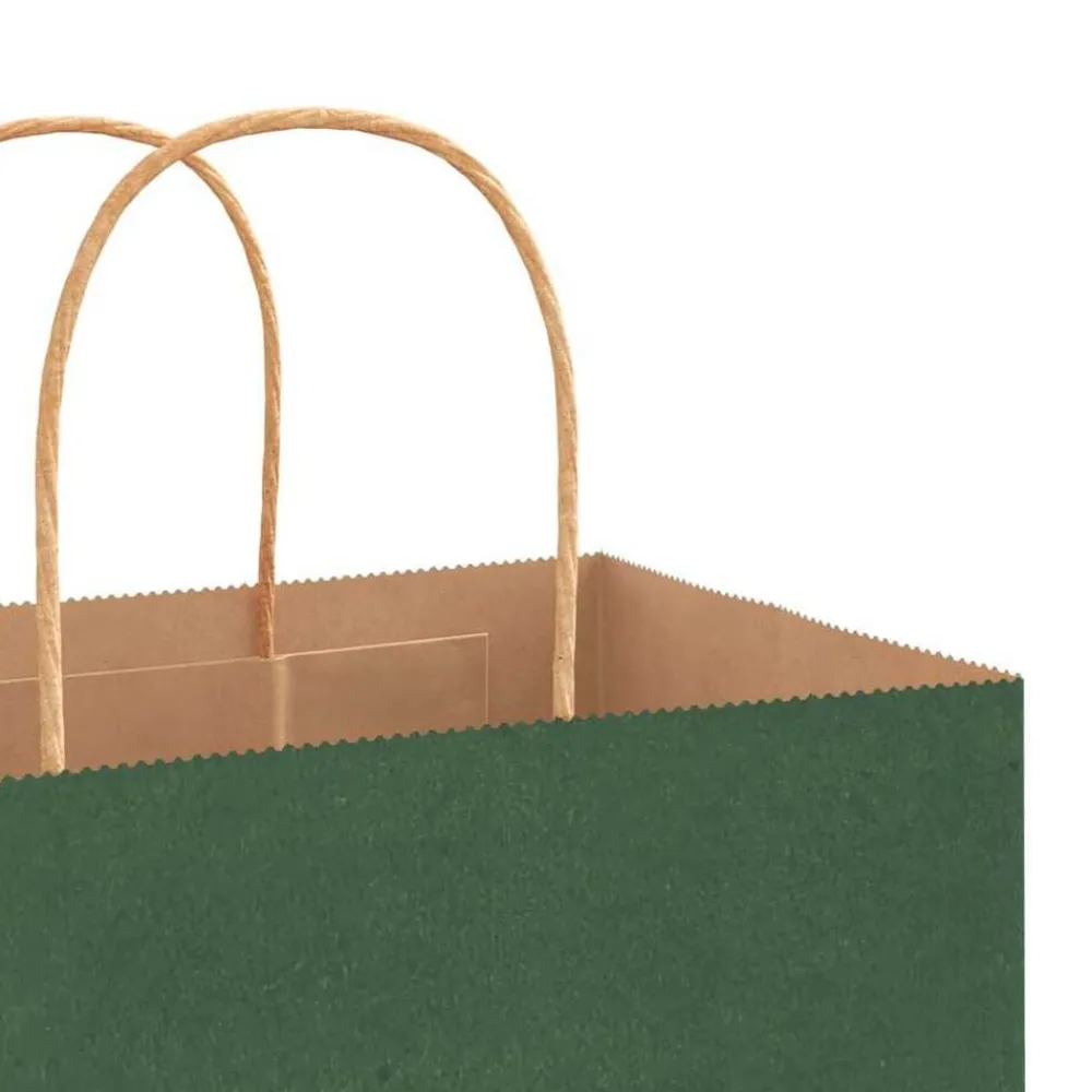 vidaXL Arte Y Ocio-Bolsas de papel con asas 50 uds 21x11x36 cm
