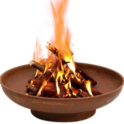 vidaXL Chimeneas-Brasero de acero 57 cm