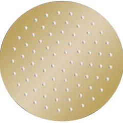 vidaXL Cabezal de ducha redondo efecto lluvia acero inox 20 cm Dorado Outlet