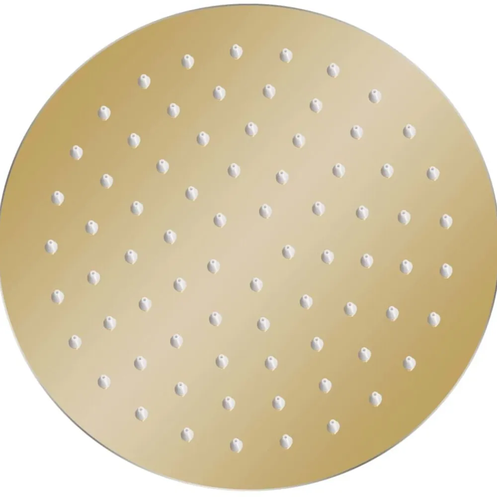 vidaXL Cabezal de ducha redondo efecto lluvia acero inox 20 cm Dorado Outlet