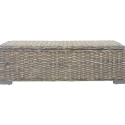 vidaXL Caja de almacenaje madera caoba y ratán Kubu natural 110cm Gris Hot