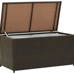 vidaXL Muebles De Jardín-Caja de almacenaje jardín ratán sintético marrón 100x50x50 cm