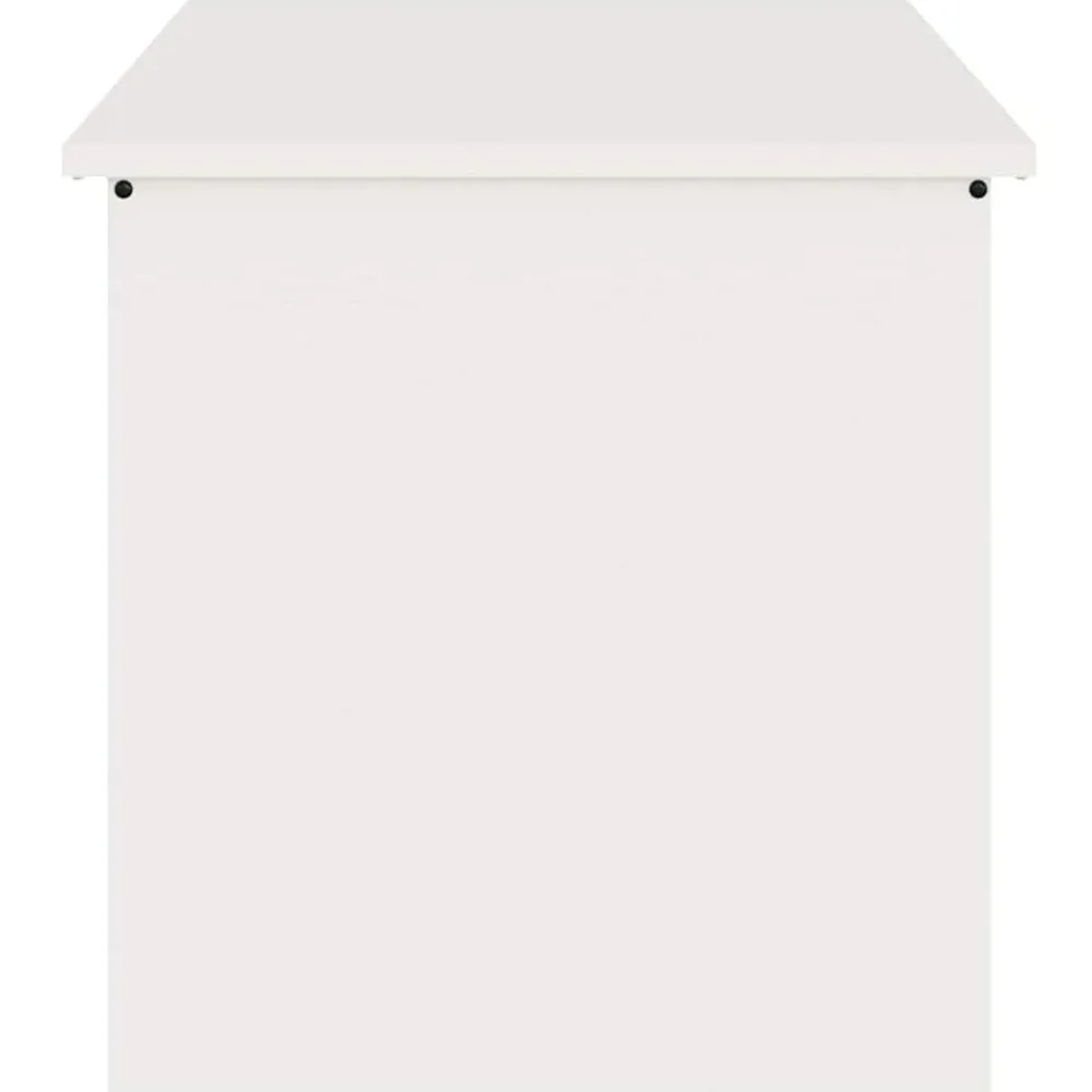 vidaXL Productos Del Hogar-Caja de Almacenamiento Exterior 100 x 50,5 x 50 cm Acero
